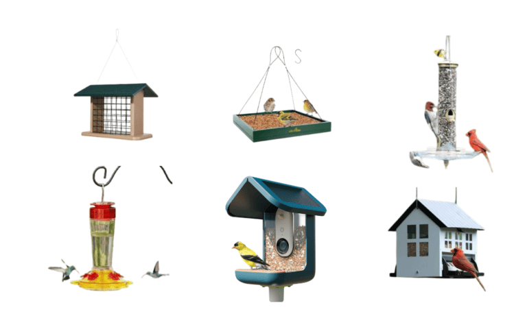 birder feeder types