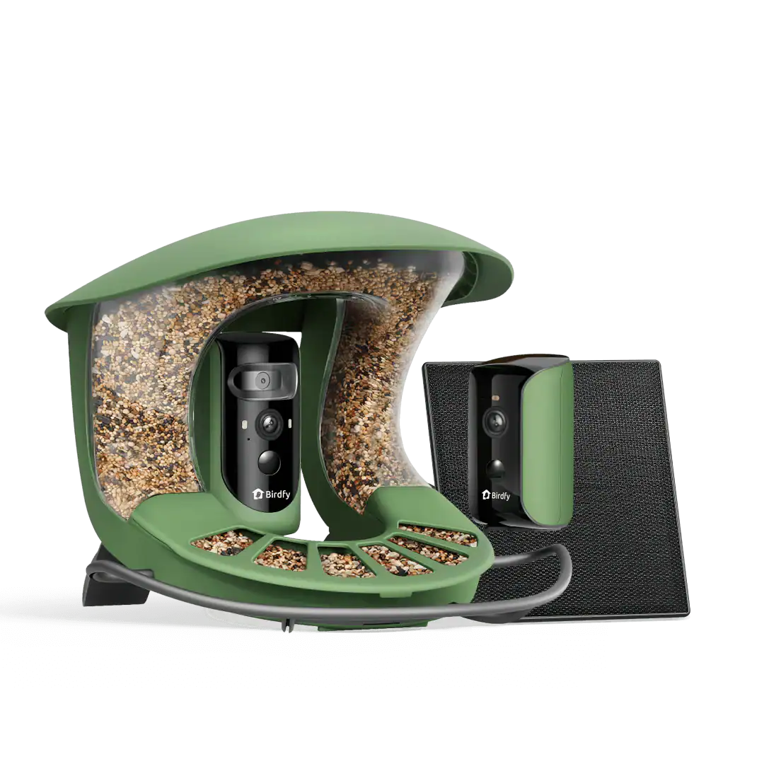 Birdfy Smart Bird Feeder