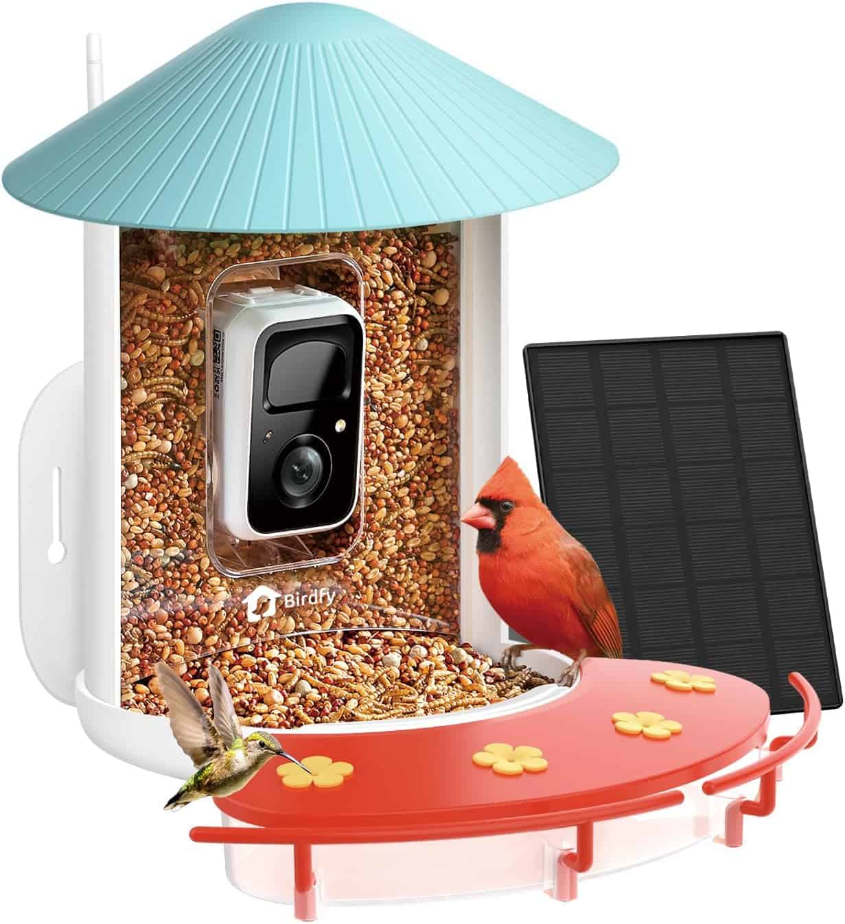 Birdfy Hummee Smart Feeder