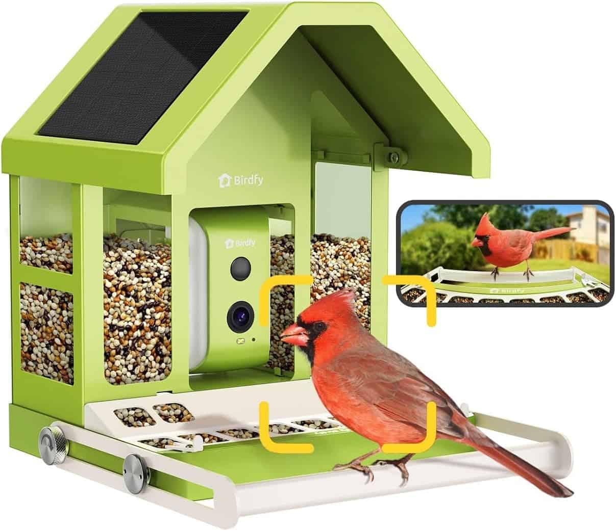 birdfy smart bird Feeder cam