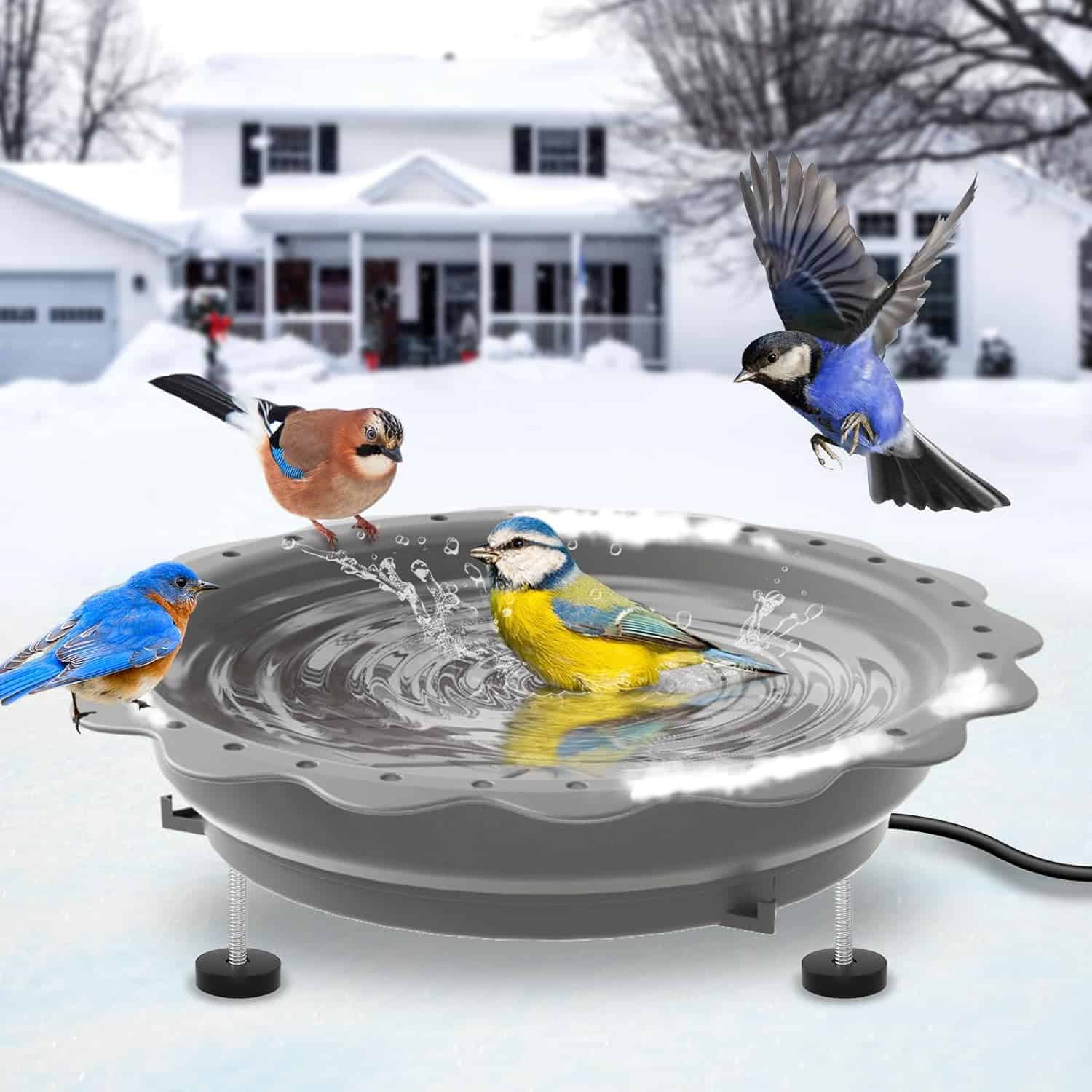 heated bird bath
